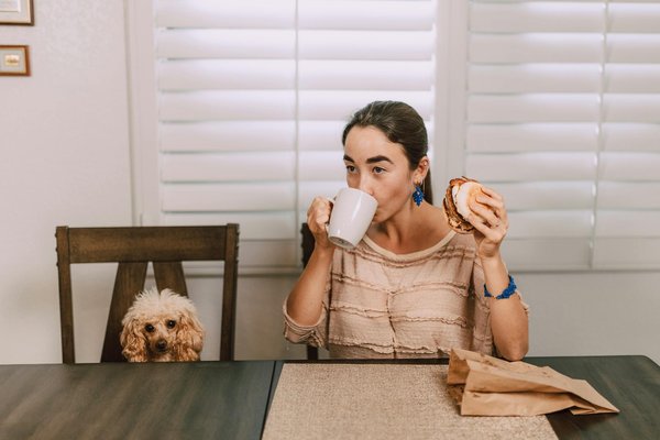 Les pommes - un pas vers une nutrition saine